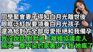 【三味時光】同學聚會妻子得知白月光離世後，眼眶泛紅說要領養白月光孩子，還為給對方全部母愛拒絕備孕，我沒說話默默遞上離婚協議走人，隔天一塵不染的家裏少了我她瘋了#激情故事#大彬情感#夢雅故事#小說#爽文
