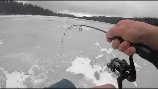 Подледная рыбалка на Гранд-Меса! (Рыба за рыбой)