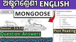 Mongoose class 8 English Question Answer odia medium | Lesson 3 | Post Reading Question Answers