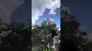 Catching a big fish on a micro ultralight ￼