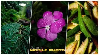 nature photo editing | nature photography video | nature photo | j pv editing #short