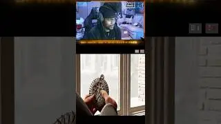 Indiana Jones Discovers a Bloody Vatican Pendant - A Hidden Secret Revealed! #gaming #indianajones