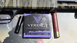 Will This Combo Work? Verdict .410 3