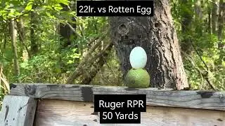 Rotten Egg vs 22lr 50 Yards