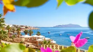 Sharm El Sheikh, Egypt 2018, Albatros Aqua Blue 4*