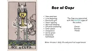 Ace of Cups Tarot Card Meaning | New Love, Emotional Beginnings & Blessings