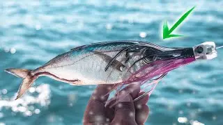 Pesca con CARNADA MUERTA// Record de Capturas en un día.