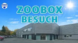 Zoobox Besuch 