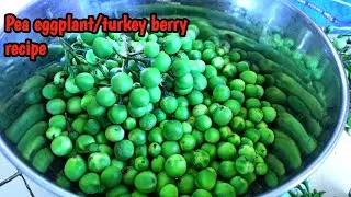 Pea eggplant recipe | cooking spicy turkey berry at home very simple| khang kha blong peng mo.