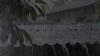 Powerful Rainstorm On Roof With Thunder || and 100% Real Rain Sounds ASMR