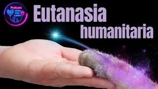 Sabes &iquest;Qu&eacute; es la eutanasia humanitaria en mascotas? Cuando dejarlos partir con amor
