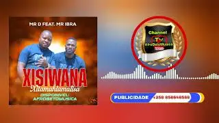Mr D- Xisiwana Xitamuhlamalisa ( Feat. Mr Ibra ) Audio Visualizar 2025