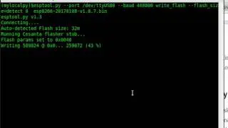 Flashing Micropython to ESP8266
