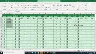 Amazon Dropshipping Store Manager Excel System  - Daily Profit Summary