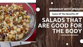 Sprout Breakfast||Telugu Vlogs||Life is Beautiful||A Beautiful day with Bindu||