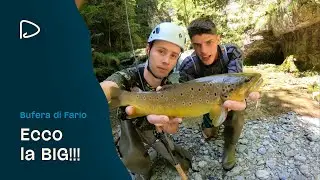 Peschiamo TROTE SELVATICHE e GIGANTI in un torrente DIFFICILE e ABBANDONATO in montagna! Ep.2
