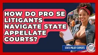 How Do Pro Se Litigants Navigate State Appellate Courts? - State Policy Experts