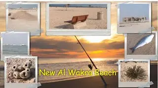New Al Wakra family beach🌊☀ | Wisdom Prime | Relaxation | Meditation