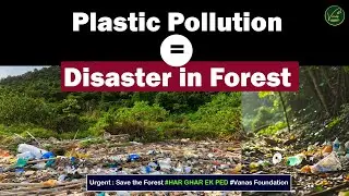 Plastic Pollution : A Disaster to Forests | Vanas Foundation |