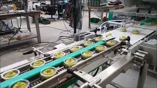 Automatic Tray Sealing Avocado Paste at 120ppm