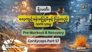 Cordyceps ရှီးပတီး Part-17 | Pre-Workout & Recovery | Clean Energy, Endurance & Muscle Repair #919os