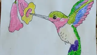 How to draw hummingbird 🐦🐦🐦 easy step-by-step drawing for beginners || simple way #shorts