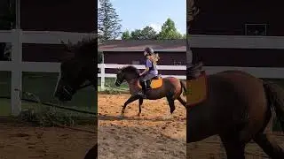 Wednesday lesson with spike wearing the Autumn Glow WeatherBeeta saddle pad #saddlepad #horses