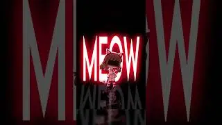CRY FOR MEOW