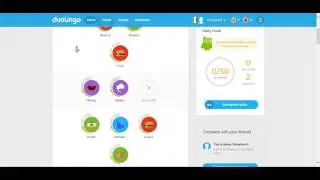 Evaluation of Duolingo Language-Learning Platform