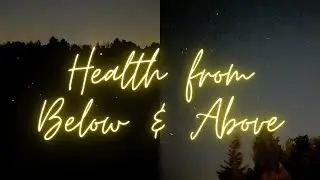 Health from below and above - Apitherapy, a holistic approach