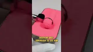 Emotional story of the ant and the turtle | satisfying video