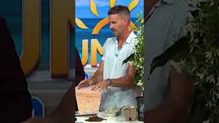 How to Water Your Garden While You&rsquo;re on Holiday 🌱💧 | Studio 10