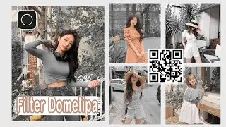 Polarr filters Code Domelipa | Free Filter  Code in Polarr