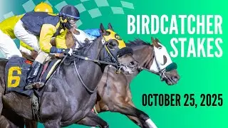 2025 Birdcatcher Stakes - Century Downs Racetrack and Casino - October 25, 2025