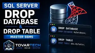 How to Master SQL in Management Studio (Step by Step)