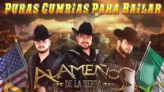 🔥 Los Alameños de la Sierra 💯 Cumbias Sierreñas con Pura Excelencia Bailable