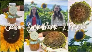 Essbare Sonnenblume?! 🌻 Bl&uuml;ten-Gelee & gebratene Blume mit frischen Kernen | Rezept s&uuml;&szlig; & herzhaft