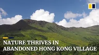 Shalotung: Hong Kong&rsquo;s haunting natural haven in the hills
