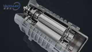 Roots Vacuum Pump