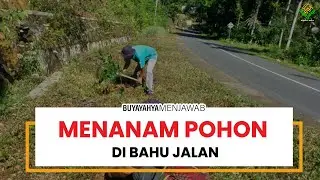 Hukum Menanam Pohon di Bahu Jalan | Buya Yahya Menjawab