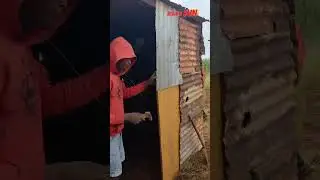 Land grab or survival? Thembelihle in desperate struggle