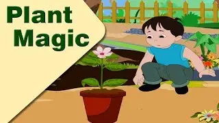 Plant Magic | English | English Medium | Maharashtra Board | Home Revise