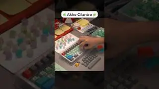 Akko Cilantro Review #shorts #akkoswitches #keyboard