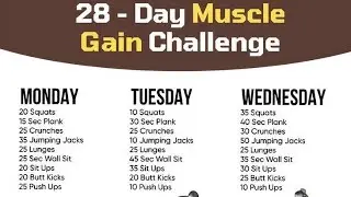 28 Days Muscle Gain Challenge 💪 Transform Your Body