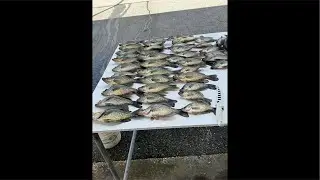 Trolling for Crappie on Lake Kissimmee