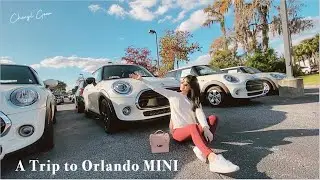 A Trip to Orlando MINI | Cheryl Goer