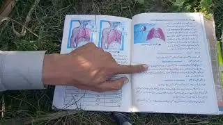 Urdu medium 10 class CH 10 Gaseous exchange Complete CH SQ and LQ ||
