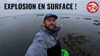 EXPLOSION en surface ! P&ecirc;che du bar aux leurres