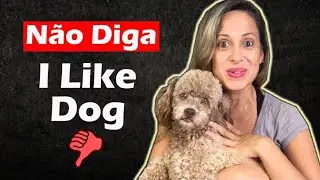 NÃO DIGA “I LIKE DOG” | Vocabulário sobre CÃES e GATOS