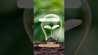 🌿 AI and Sustainability Initiatives 🌏